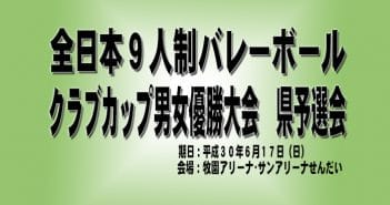 全日本9人制バレーボールクラブカップ男女優勝大会県予選会(結果)