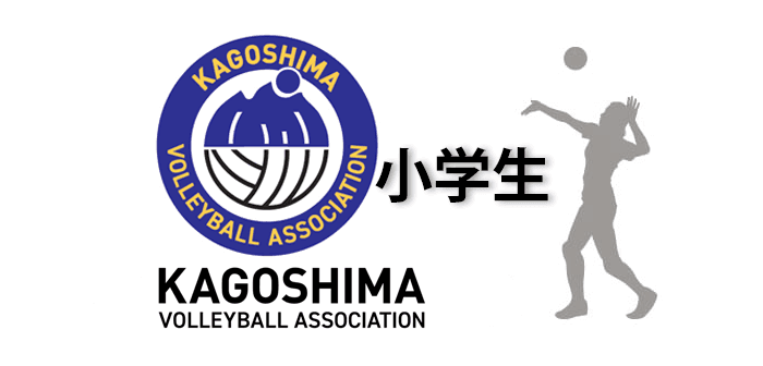 第45回全日本バレーボール小学生大会オフィシャルグッズの購入について